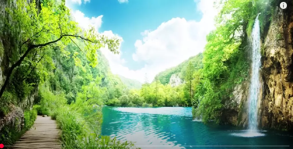 Relaxing Harp Music